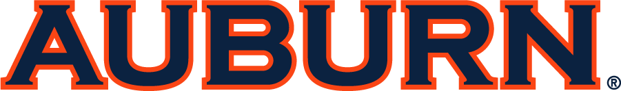 Auburn Tigers 2006-Pres Wordmark Logo diy iron on heat transfer...